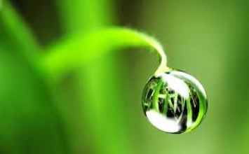 Điều cần và đủ cho cuộc sống